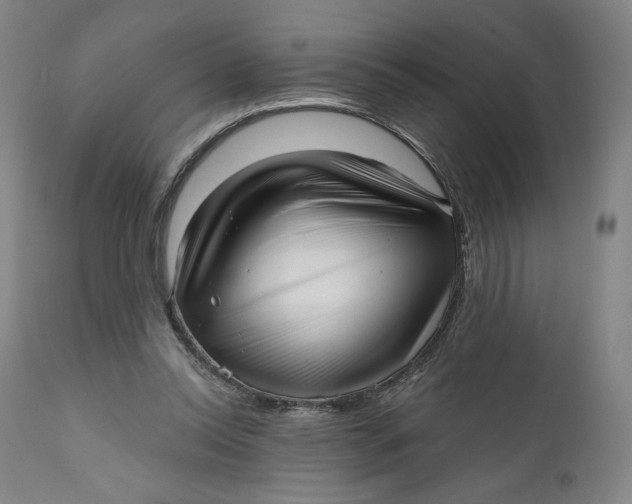 X0000111640350200908071348