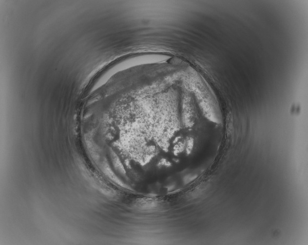 X0000111640351200908071348