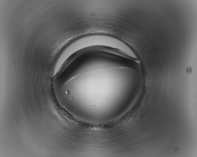 X0000111640352200908071348