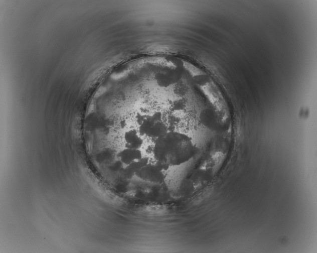 X0000111640353200908071348