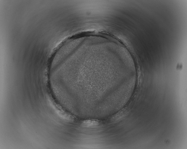 X0000111640354200908071348