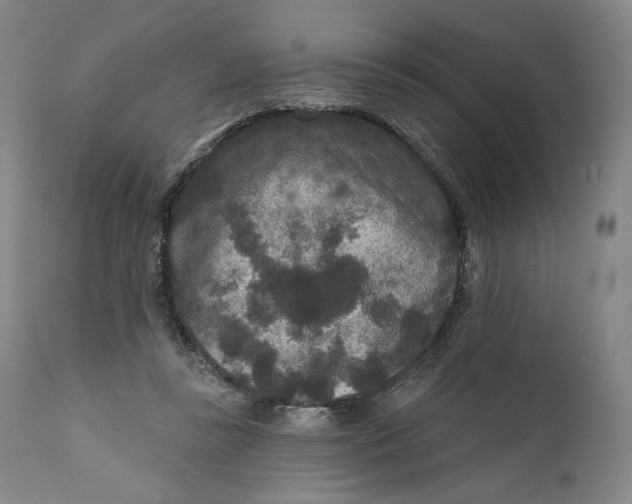 X0000111640355200908071348