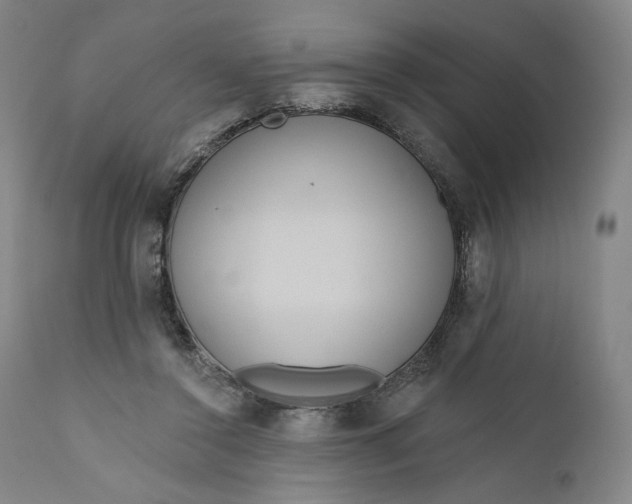 X0000111640356200908071348