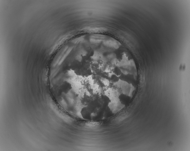 X0000111640357200908071348