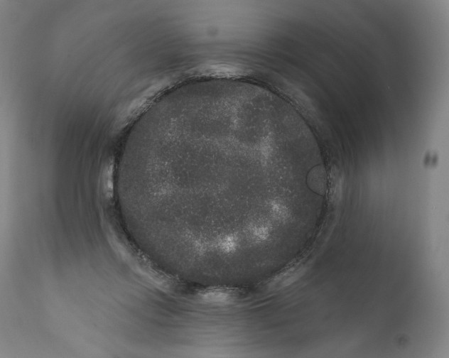 X0000111640358200908071348