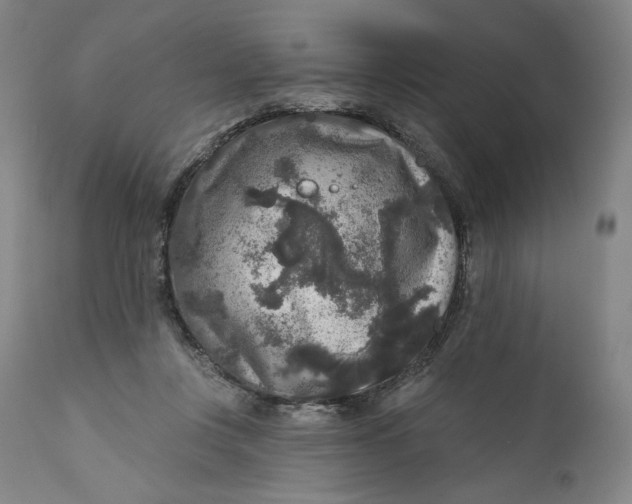 X0000111640359200908071348