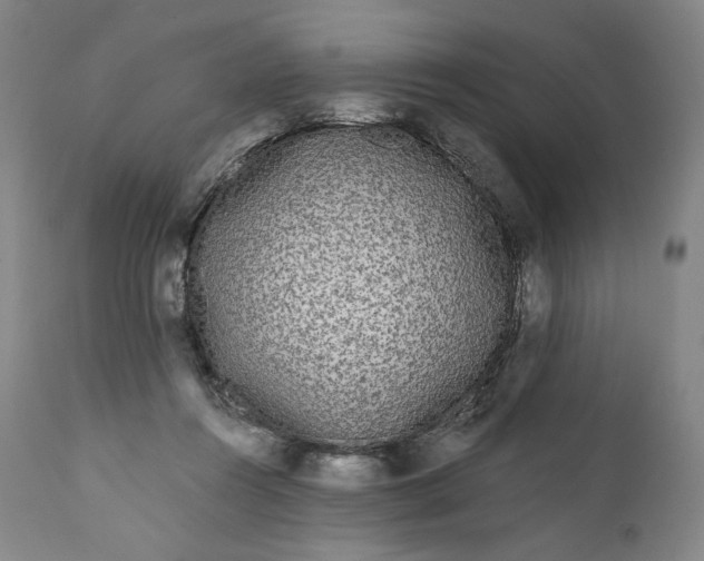 X0000111640360200908071348