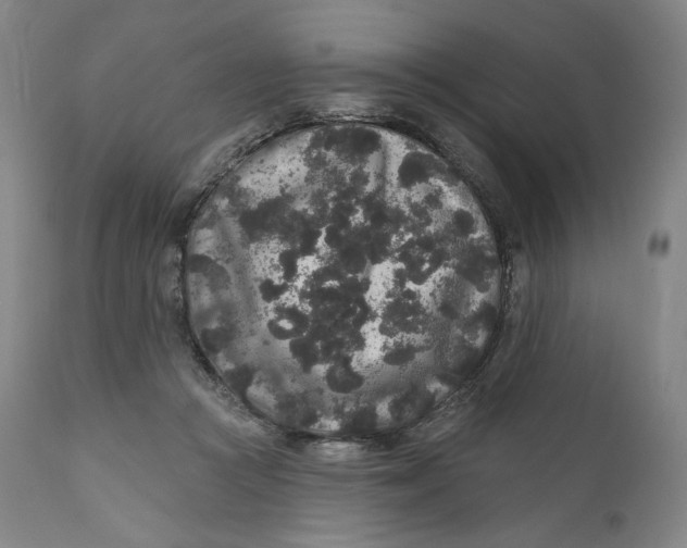 X0000111640361200908071348