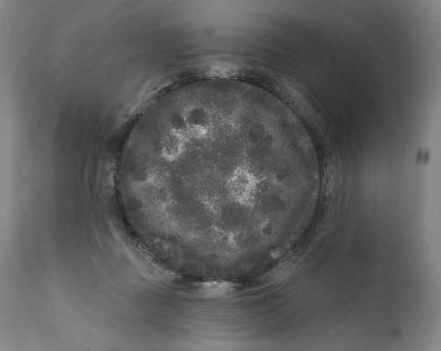 X0000111640363200908071348