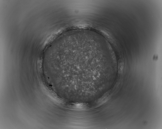 X0000111640365200908071348