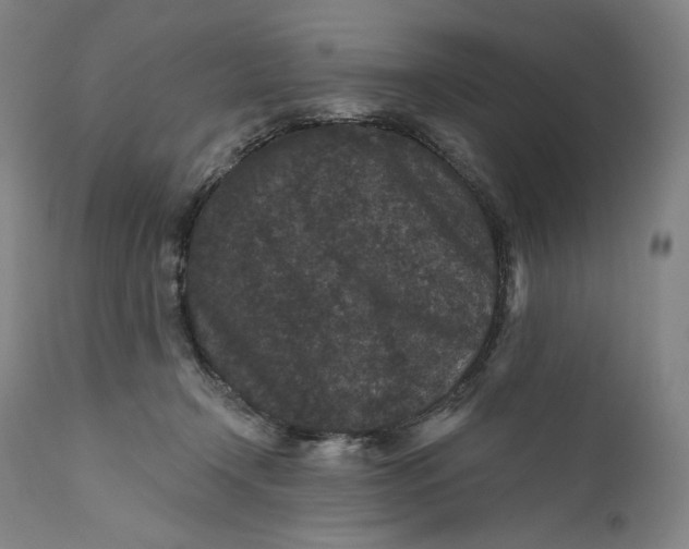 X0000111640366200908071348