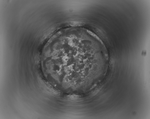 X0000111640367200908071348