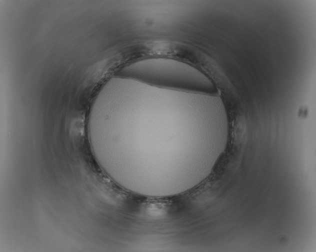 X0000111640368200908071348