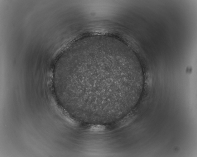 X0000111640369200908071348