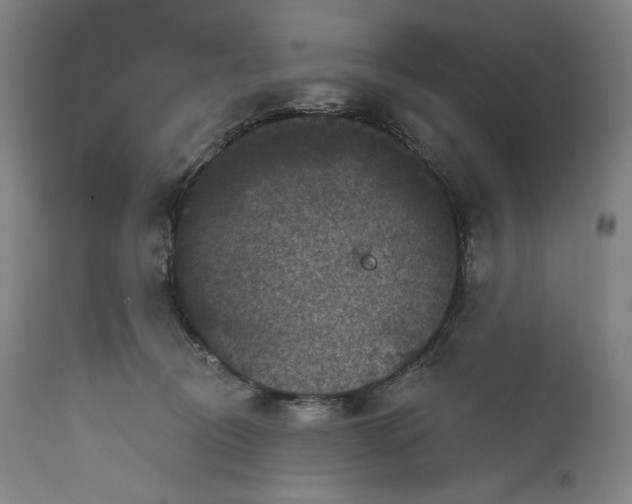 X0000111640370200908071348