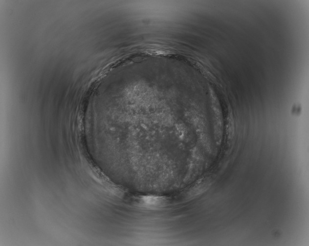 X0000111640371200908071348