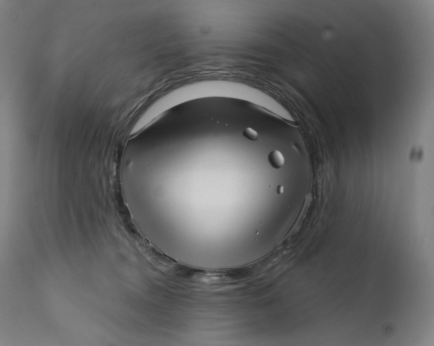 X0000111640372200908071348