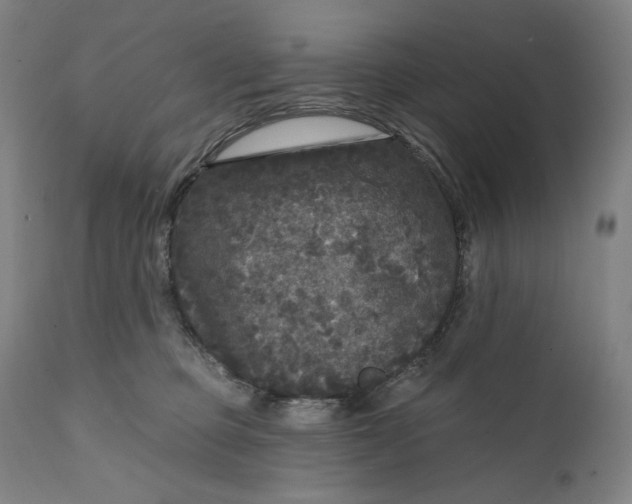 X0000111640373200908071348