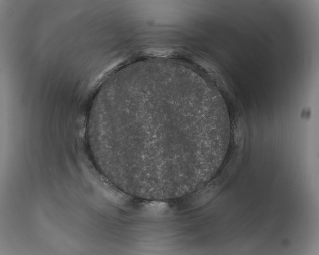 X0000111640374200908071348