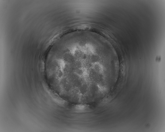 X0000111640375200908071348