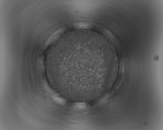 X0000111640377200908071348