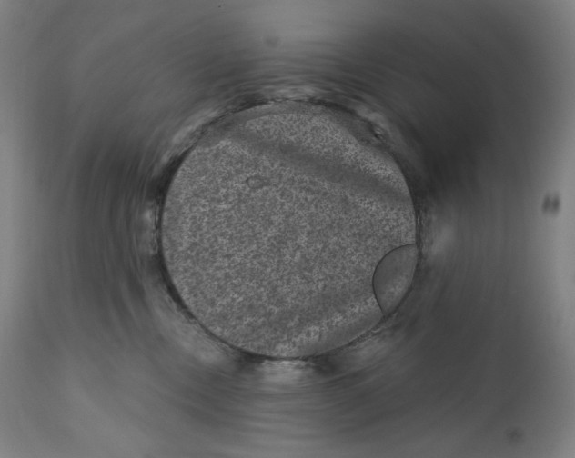 X0000111640378200908071348