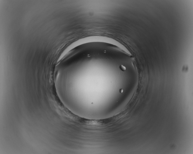 X0000111640380200908071348