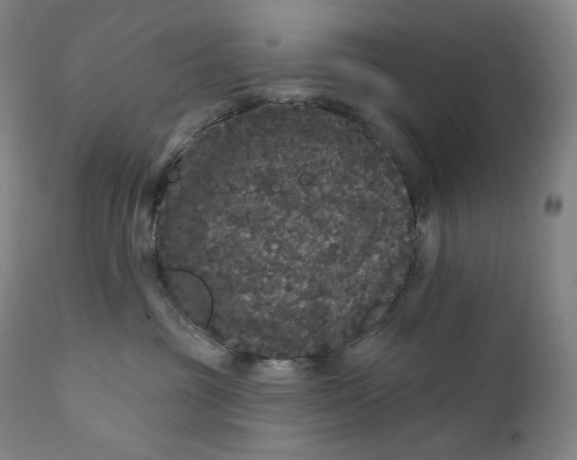 X0000111640381200908071348