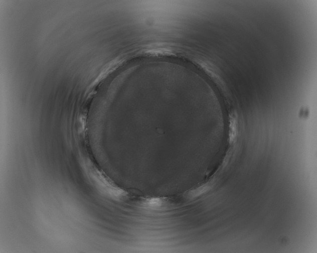 X0000111640382200908071348