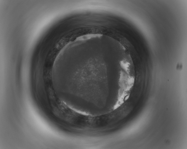 X0000111640383200908071348