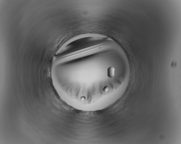 X0000111640384200908071348