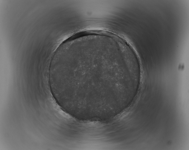 X0000111640385200908071348