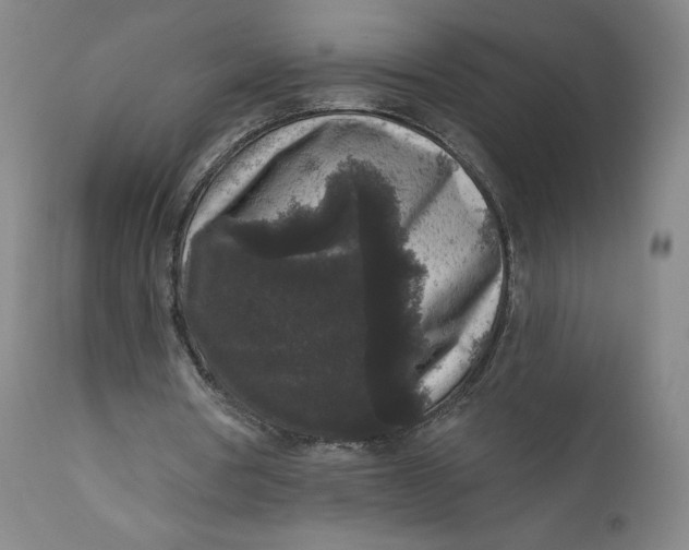 X0000111640386200908071348