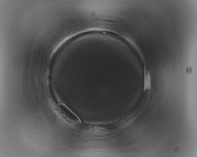 X0000111640387200908071348