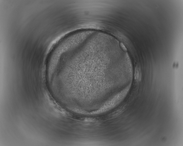 X0000111640388200908071347