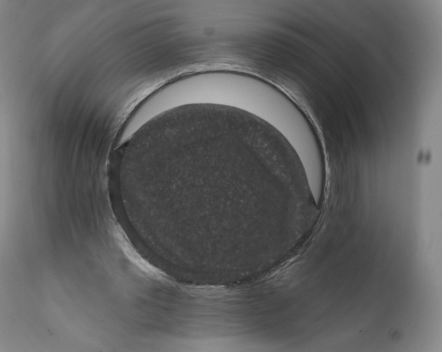 X0000111640389200908071347