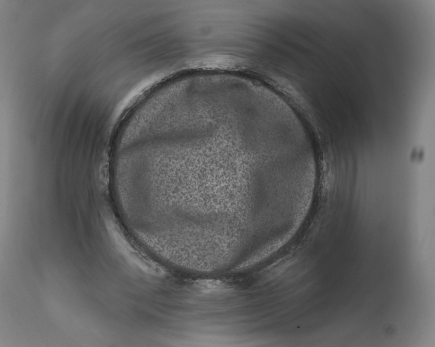 X0000111640392200908071347