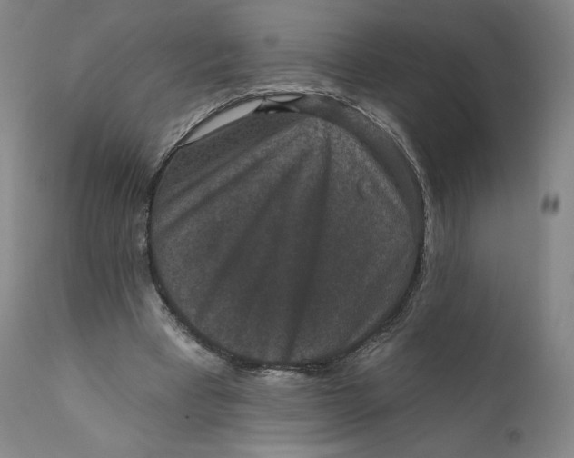 X0000111640393200908071347