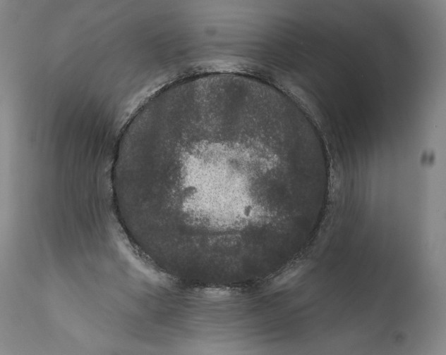 X0000111640394200908071347