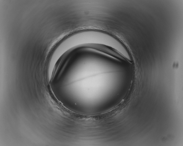 X0000111640395200908071347