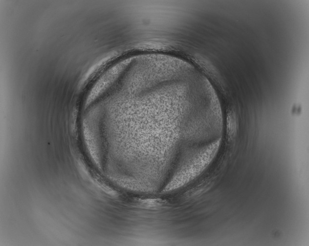 X0000111640396200908071347