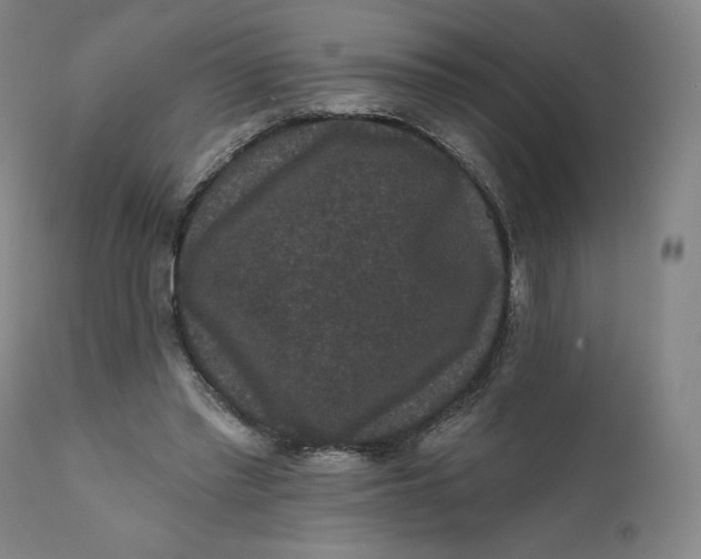 X0000111640397200908071347