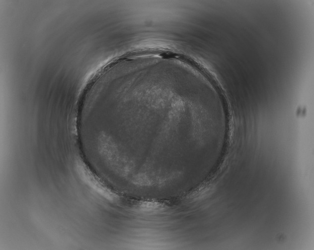 X0000111640399200908071347