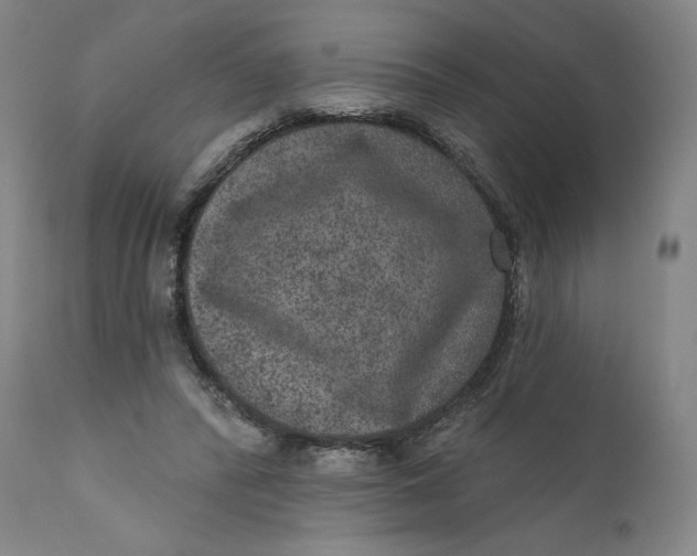 X0000111640400200908071347