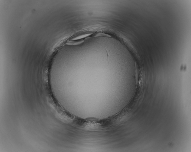 X0000111640403200908071347