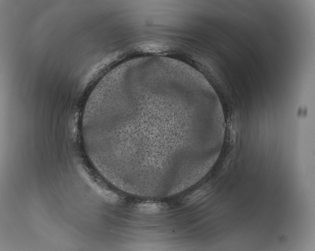 X0000111640404200908071347