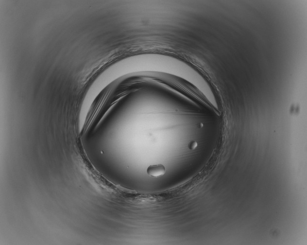 X0000111640405200908071347