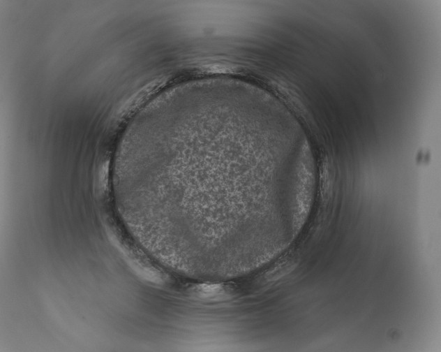 X0000111640406200908071347