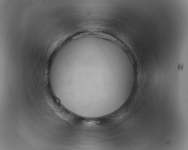 X0000111640407200908071347