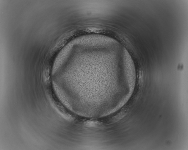 X0000111640408200908071347